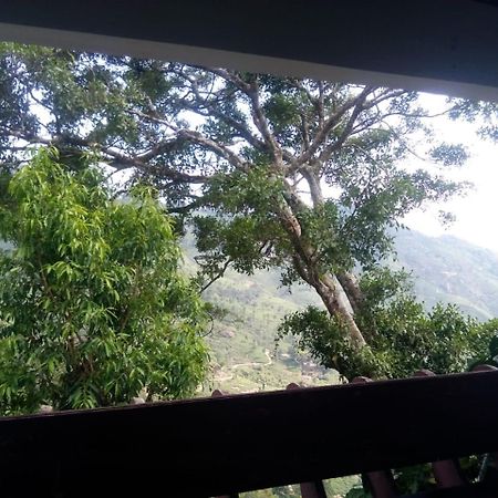 Bed and Breakfast Holly Hock Munnar Esterno foto